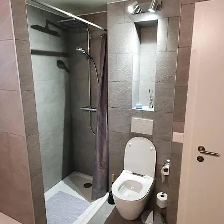 Lejlighed New Flat In Randogne With View