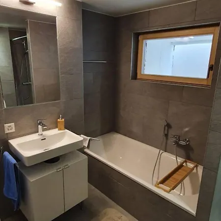 Daire New Flat In Randogne With View